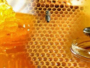  مربو النحل يحذرون من ترويج العسل المغشوش