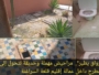 فيديو. “زواق يطير”.. مراحيض مهملة وحديقة تتحول إلى مطرح داخل عمالة إقليم قلعة السراغنة
